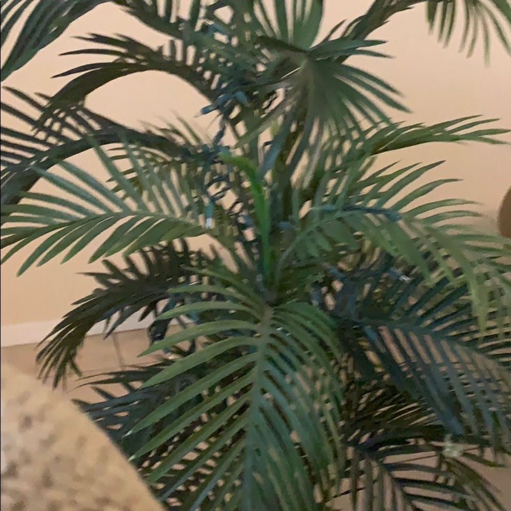 Meet your Posher, Charity